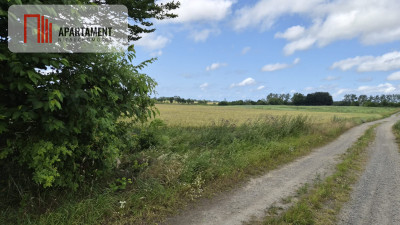 Twoja własna wyjątkowa działka pod dom - Komory  -
Zachodniopomorskie Zdjęcie nr 6