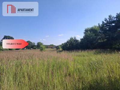 Działka 5100 m2 w  Dolinie Baryczy - Piękocin  - Dolnośląskie