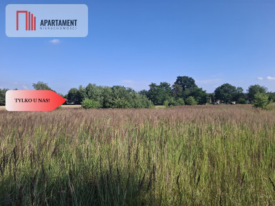Działka 5100 m2 w  Dolinie Baryczy - Piękocin  -
Dolnośląskie Zdjęcie nr 2