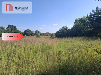 Działka 5100 m2 w  Dolinie Baryczy - Piękocin  -
Dolnośląskie Zdjęcie nr 3