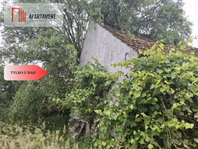 Działka 5100 m2 w  Dolinie Baryczy - Piękocin  -
Dolnośląskie Zdjęcie nr 5