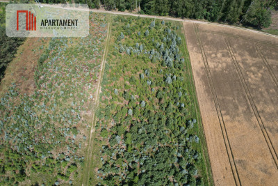 Działka siedliskowa z warunkami zabudowy - Bietowo  -
Pomorskie Zdjęcie nr 3