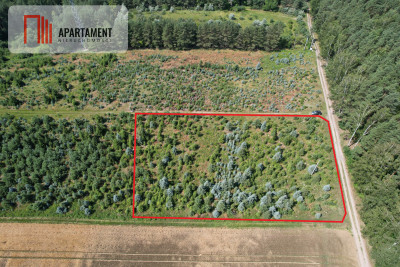 Działka siedliskowa z warunkami zabudowy - Bietowo  -
Pomorskie Zdjęcie nr 4