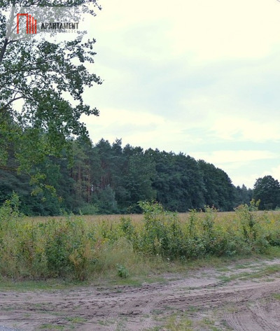 Działka budowlana w Ciche - Ciche  -
Kujawsko-Pomorskie Zdjęcie nr 2