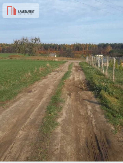 Działka budowlana w Ciche - Ciche  -
Kujawsko-Pomorskie Zdjęcie nr 4