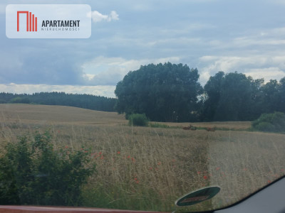 Działka budowlana w Ciche - Ciche  -
Kujawsko-Pomorskie Zdjęcie nr 8