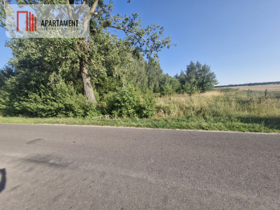 Działka z projekm w Gorzuchowie 300 m do jeziora - Gorzuchowo  -
Wielkopolskie Zdjęcie nr 4