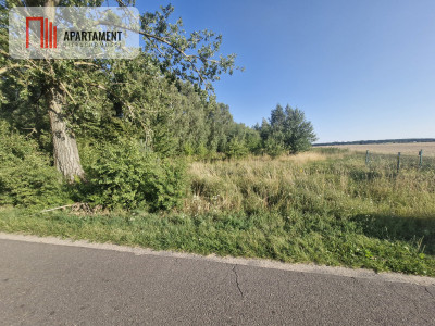 Działka z projekm w Gorzuchowie 300 m do jeziora - Gorzuchowo  -
Wielkopolskie Zdjęcie nr 5
