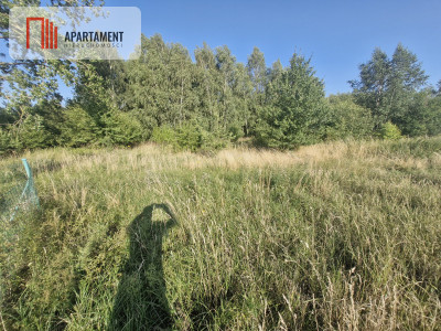 Działka z projekm w Gorzuchowie 300 m do jeziora - Gorzuchowo  -
Wielkopolskie Zdjęcie nr 6