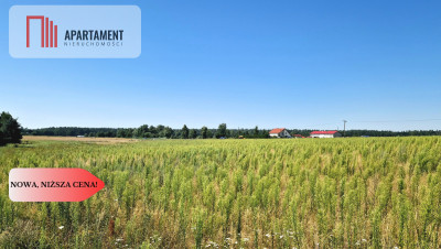Działki Drzewianowo od 58 zł mkw - Drzewianowo  -
Kujawsko-Pomorskie Zdjęcie nr 4