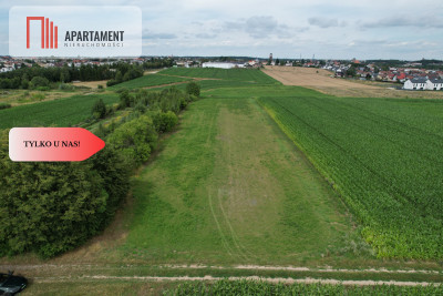 Ostatnia działka budowlana z 4 dostępnych - Chojnice  -
Pomorskie Zdjęcie nr 2