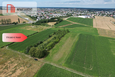 Ostatnia działka budowlana z 4 dostępnych - Chojnice  -
Pomorskie Zdjęcie nr 4
