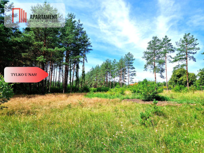 Zamieszkaj nad rzeką  wyjątkowe działki budowlane - Pustki  -
Pomorskie Zdjęcie nr 11