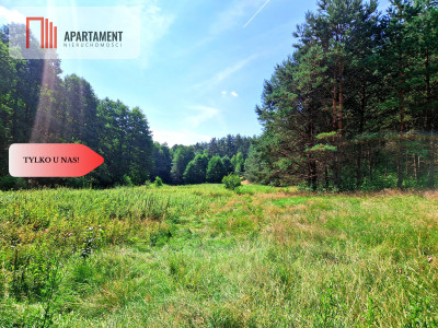 Zamieszkaj nad rzeką  wyjątkowe działki budowlane - Pustki  -
Pomorskie Zdjęcie nr 12