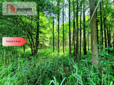Zamieszkaj nad rzeką  wyjątkowe działki budowlane - Pustki  -
Pomorskie Zdjęcie nr 14