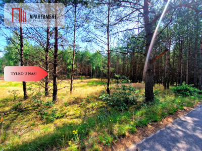 Zamieszkaj nad rzeką  wyjątkowe działki budowlane - Pustki  -
Pomorskie Zdjęcie nr 6
