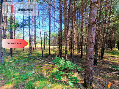 Zamieszkaj nad rzeką  wyjątkowe działki budowlane - Pustki  -
Pomorskie Zdjęcie nr 7