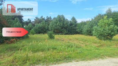 Działki z WZ w Rozalinowie blisko Jezioro Foluskie - Rozalinowo  -
Kujawsko-Pomorskie Zdjęcie nr 4