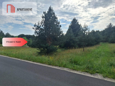Działki z WZ w Rozalinowie blisko Jezioro Foluskie - Rozalinowo  -
Kujawsko-Pomorskie Zdjęcie nr 7