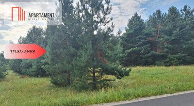 Działki z WZ w Rozalinowie blisko Jezioro Foluskie - Rozalinowo  -
Kujawsko-Pomorskie Zdjęcie nr 8