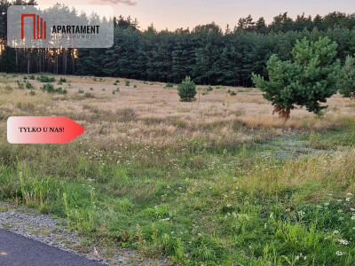 Atrakcyjna działka budowlana przy lesie - Drewno  -
Kujawsko-Pomorskie Zdjęcie nr 3