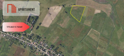Tylko u Nas Działka rolna o pow 335 ha - Brzezie  -
Pomorskie Zdjęcie nr 12