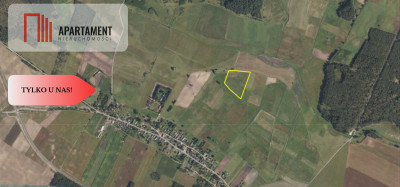 Tylko u Nas Działka rolna o pow 335 ha - Brzezie  -
Pomorskie Zdjęcie nr 3