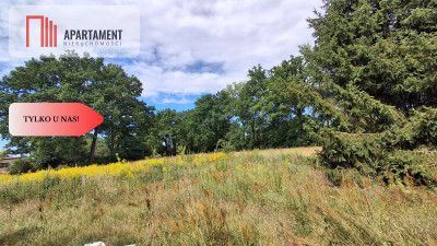 Działki o powierzchni  2579 m2Chróstnik - Chróstnik  -
Dolnośląskie Zdjęcie nr 3