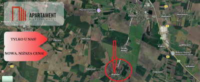 Działka rolna 89 arów pod Wrocławiem  Bogunów  - Bogunów  -
Dolnośląskie Zdjęcie nr 5