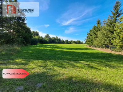 3 działki budowlane blisko Tczewa - Turze  -
Pomorskie Zdjęcie nr 5