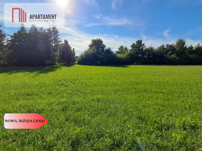 3 działki budowlane blisko Tczewa - Turze  -
Pomorskie Zdjęcie nr 7