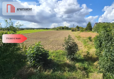 Działka budowlana Więzowno gmina Koronowo - Więzowno  -
Kujawsko-Pomorskie Zdjęcie nr 5