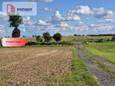 Działka budowlana Więzowno gmina Koronowo - Więzowno  -
Kujawsko-Pomorskie Zdjęcie nr 8