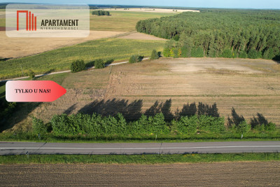 Działka budowlana blisko jeziora i lasu - Lisewo  -
Pomorskie Zdjęcie nr 2