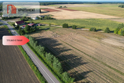 Działka budowlana blisko jeziora i lasu - Lisewo  -
Pomorskie Zdjęcie nr 6