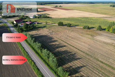 Działka budowlana blisko jeziora i lasu - Lisewo  -
Pomorskie Zdjęcie nr 8