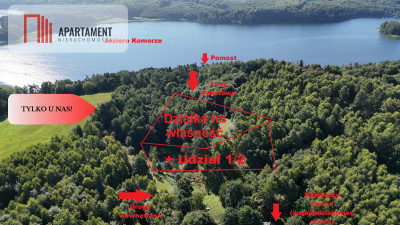 Z własnym lasem stawem i dostępem do jeziora - Czarne Wielkie  -
Zachodniopomorskie Zdjęcie nr 3