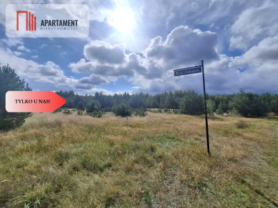 Tylko u nas miejsce na Twój dom w lesie - Cieciorka  -
Pomorskie Zdjęcie nr 11