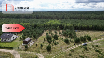 Tylko u nas miejsce na Twój dom w lesie - Cieciorka  -
Pomorskie Zdjęcie nr 2