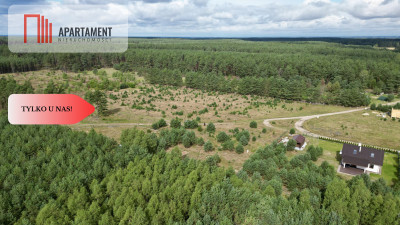 Tylko u nas miejsce na Twój dom w lesie - Cieciorka  -
Pomorskie Zdjęcie nr 5