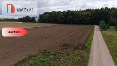 Działki  z WZ  Grabowiec k Iławy - Grabowiec  -
Warmińsko-Mazurskie Zdjęcie nr 11