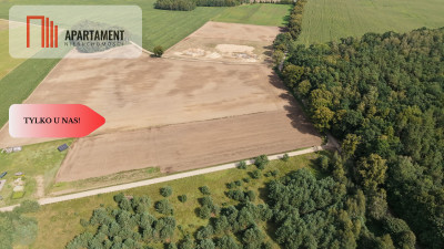 Działki  z WZ  Grabowiec k Iławy - Grabowiec  -
Warmińsko-Mazurskie Zdjęcie nr 3