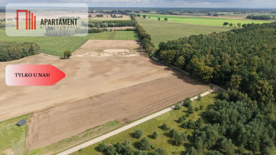 Działki  z WZ  Grabowiec k Iławy - Grabowiec  -
Warmińsko-Mazurskie Zdjęcie nr 4