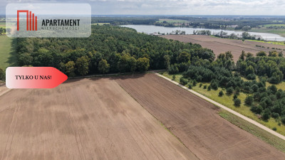 Działki  z WZ  Grabowiec k Iławy - Grabowiec  -
Warmińsko-Mazurskie Zdjęcie nr 6