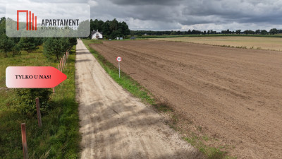 Działki  z WZ  Grabowiec k Iławy - Grabowiec  -
Warmińsko-Mazurskie Zdjęcie nr 9