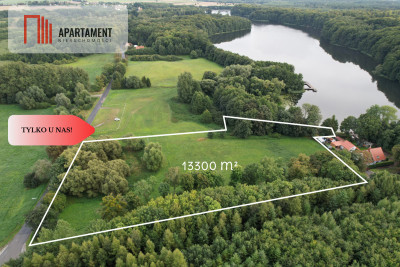 Działka budowlana z linią brzegową jeziora Dużego - Orle  - Pomorskie