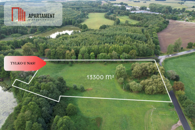 Działka budowlana z linią brzegową jeziora Dużego - Orle  -
Pomorskie Zdjęcie nr 2