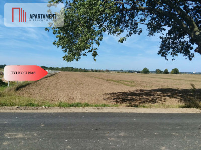 Działka rolna 109 ha Głoska gm Miękinia - Głoska  - Dolnośląskie