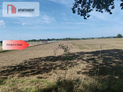 Działka rolna 109 ha Głoska gm Miękinia - Głoska  -
Dolnośląskie Zdjęcie nr 2