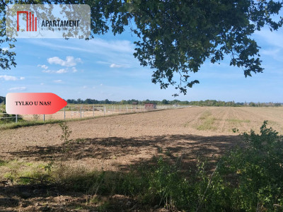 Działka rolna 109 ha Głoska gm Miękinia - Głoska  -
Dolnośląskie Zdjęcie nr 3